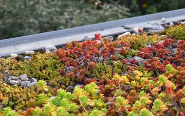 the cost of Blakeney green roof installation